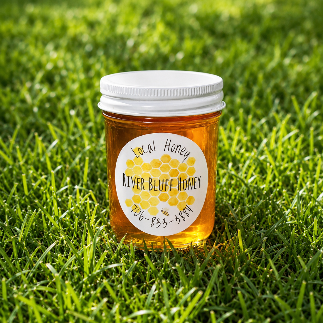 Raw Honey vs Organic Honey: What's the Difference and Which One Should You Buy?